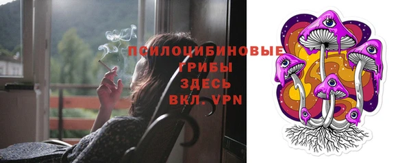 мяу мяу мука Алексеевка
