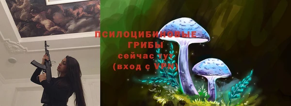 мяу мяу мука Алексеевка