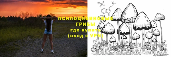 мяу мяу мука Алексеевка