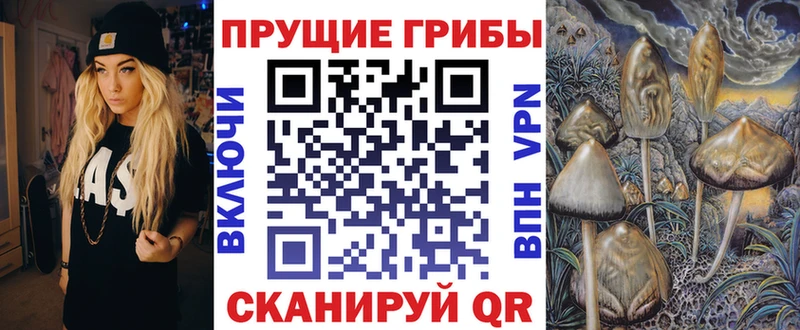 Галлюциногенные грибы Cubensis  Черкесск 